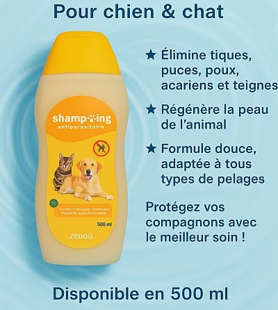 Shampooing